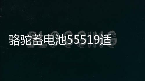 駱駝蓄電池55519適配福克斯嘉年華傳祺賽歐名爵汽車電瓶12V55ah