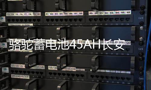 駱駝蓄電池45AH長安之星2東風(fēng)小康K07S金杯小海獅X30原裝汽車電瓶
