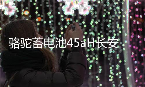 駱駝蓄電池45aH長安之星2東風小康K07S金杯小海獅X30適配汽車電瓶