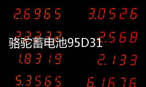駱駝蓄電池95D31 蓄電池雙龍長(zhǎng)城皮卡照明汽車電瓶12V85AH