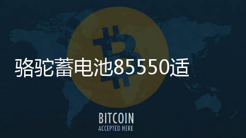 駱駝蓄電池85550適用凱越雪佛蘭樂風/樂馳/樂騁/景程專用汽車電瓶