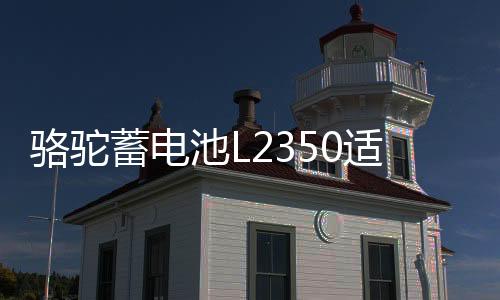 駱駝蓄電池L2350適用于東風(fēng)景逸長安悅翔睿騁逸動睿成汽車電瓶