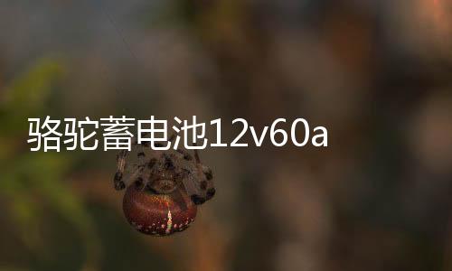 駱駝蓄電池12v60ah汽車(chē)電瓶L2400用于科魯茲速騰寶來(lái)朗逸邁騰途觀
