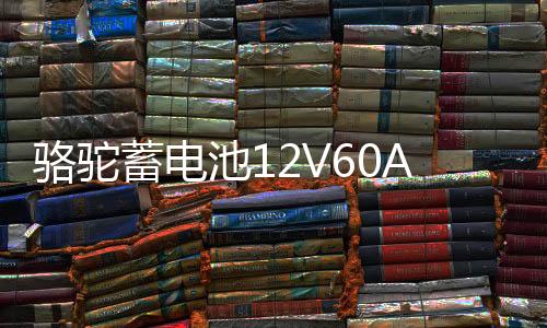 駱駝蓄電池12V60AH適配比亞迪長(zhǎng)城豐田金杯奇瑞1DF汽車電瓶 55D26