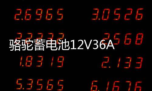 駱駝蓄電池12V36AH汽車電瓶逆變背機適配鈴木奧拓飛度鋒范三輪車
