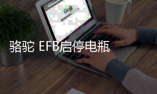 駱駝 EFB啟停電瓶 12V60AH汽車適配繽智CRV傳祺GS4樂(lè)風(fēng)RV奧迪A3