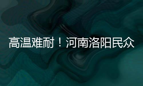 高溫難耐！河南洛陽民眾水中搓麻開啟花式避暑