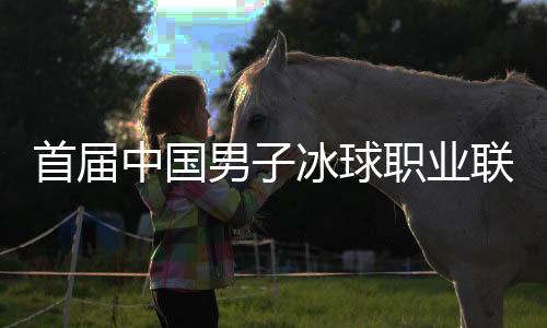 首屆中國男子冰球職業(yè)聯(lián)賽總決賽開幕 北京、深圳迎“開門紅”