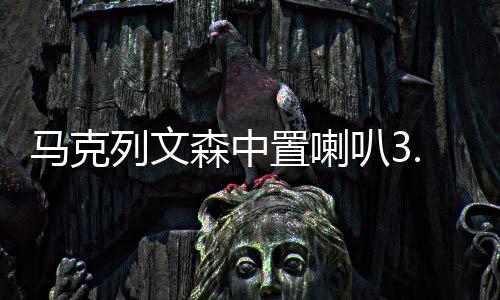 馬克列文森中置喇叭3.5寸中音汽車音響儀表臺(tái)揚(yáng)聲器改裝配件柏林