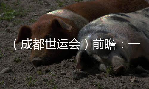 （成都世運(yùn)會）前瞻：一場體育與科技“雙向奔赴”的盛會