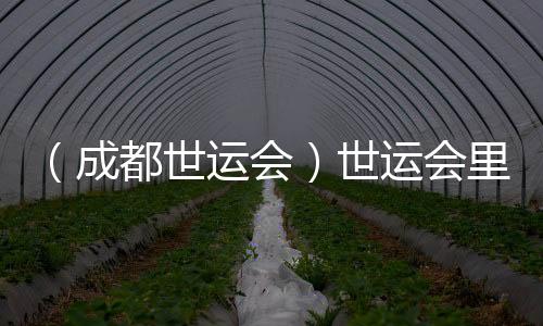 （成都世運(yùn)會(huì)）世運(yùn)會(huì)里的非遺之約：東方美學(xué)與世界溫柔相遇