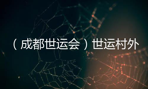 （成都世運(yùn)會）世運(yùn)村外的市集：讓世界感知“四川心意”