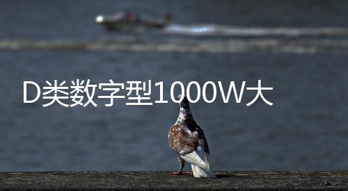 D類數(shù)字型1000W大功率發(fā)燒級超重純低音無源雙音圈低音炮功放