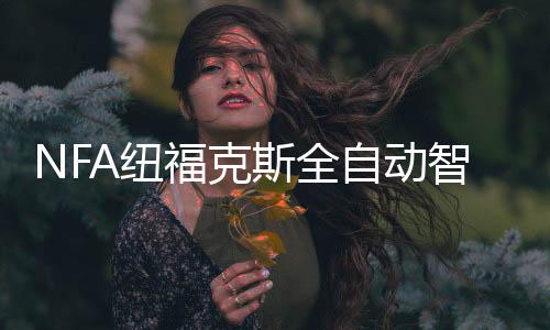 NFA紐福克斯全自動(dòng)智能修復(fù)型汽車摩托車電瓶充電器蓄電池充電機(jī)