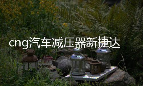 cng汽車減壓器新捷達(dá)新桑塔納出租車替代原車減壓閥天然氣配件