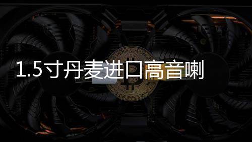 1.5寸丹麥進口高音喇叭二手拆車音響升級加裝車載高音頭發(fā)燒級
