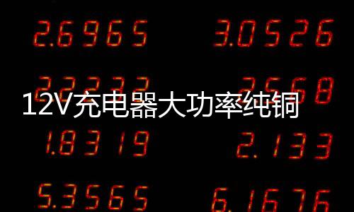 12V充電器大功率純銅24v老式100A汽車貨車家用小轎車電瓶沖充電機