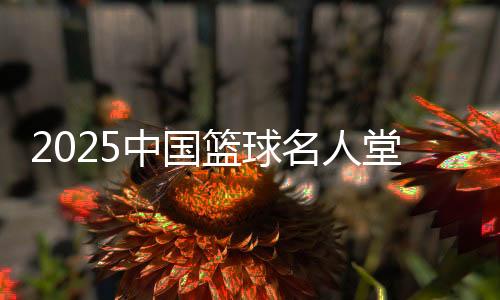 2025中國籃球名人堂入堂規(guī)模確定 最終結(jié)果11月公布