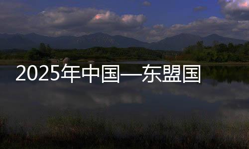 2025年中國(guó)—東盟國(guó)際龍舟公開賽在廣西藤縣舉行