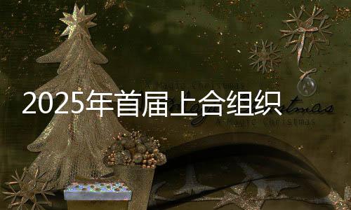 2025年首屆上合組織冰雪體育示范區(qū)青年拳擊邀請(qǐng)賽開(kāi)幕