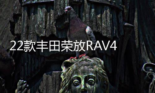 22款豐田榮放RAV4門(mén)檻條專(zhuān)用改裝配件迎賓踏板車(chē)內(nèi)飾裝飾汽車(chē)用品